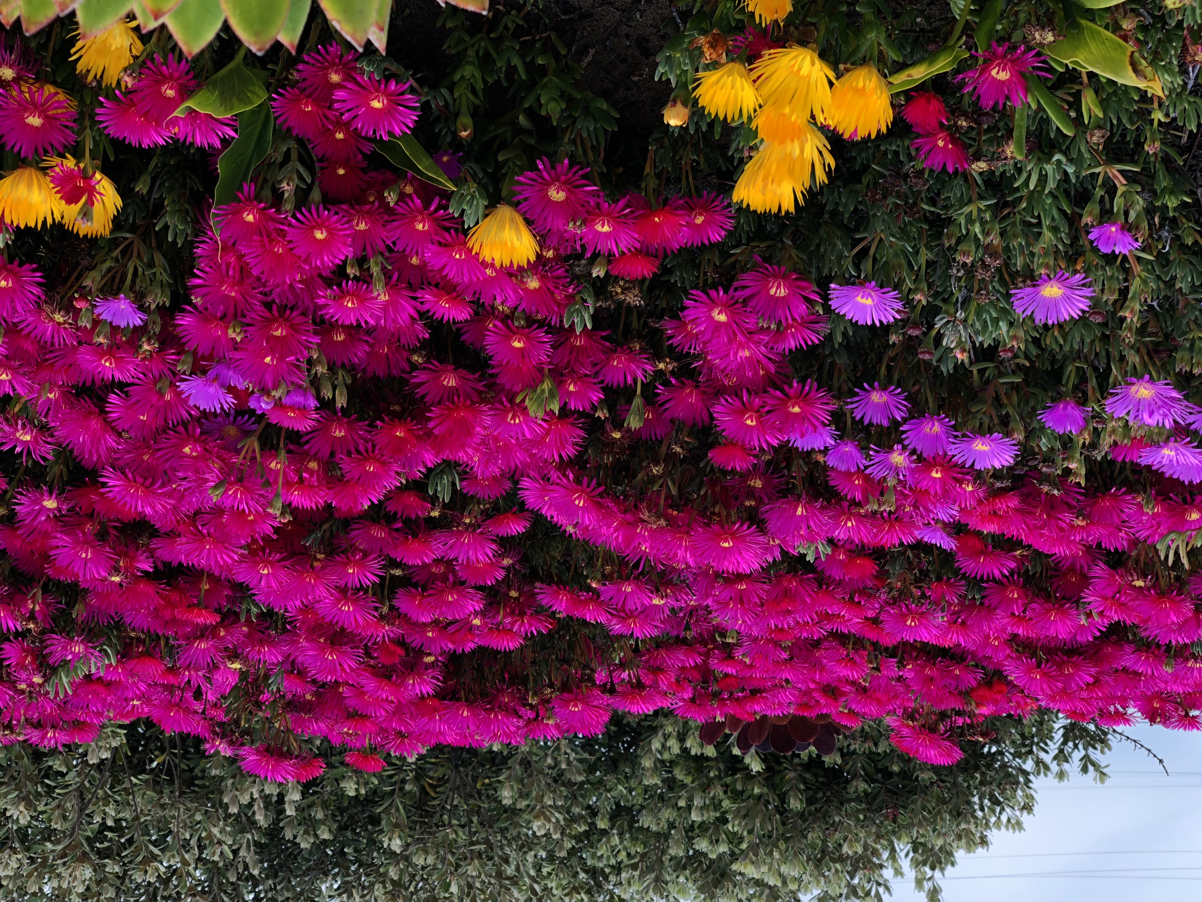 Алексей's Avatar